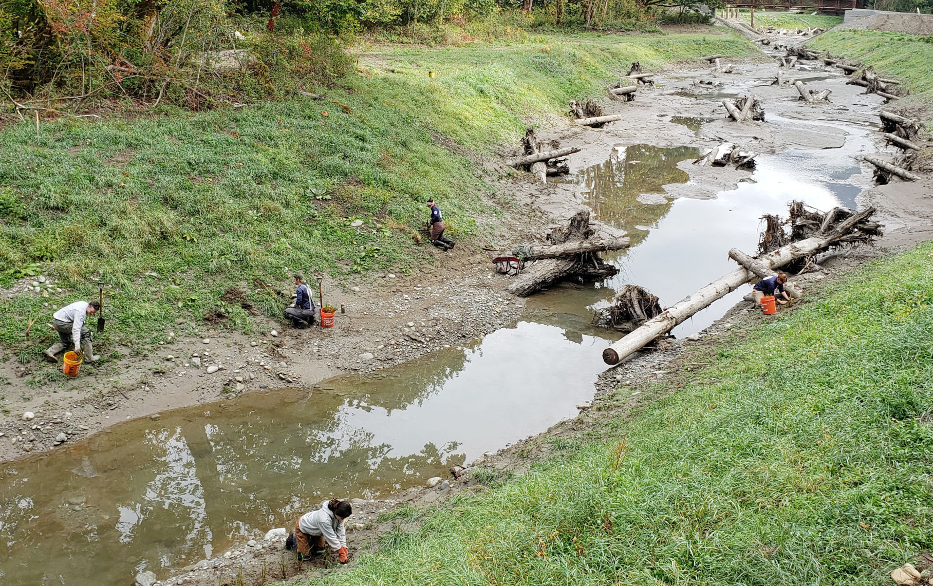 Earth Corps crew getting a head start on planting along the new channel.jpg